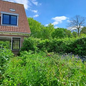 housePhoto