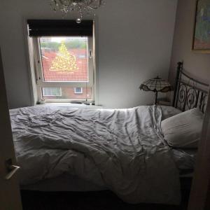 housePhoto