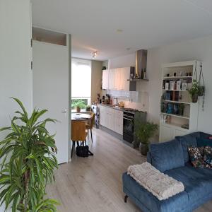housePhoto