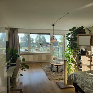 housePhoto