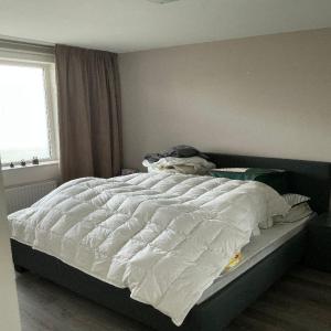 housePhoto