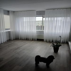 housePhoto