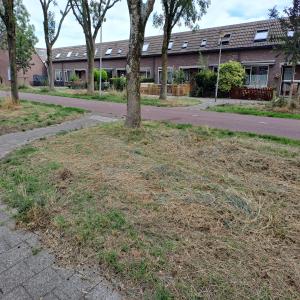 housePhoto