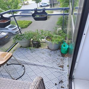 housePhoto