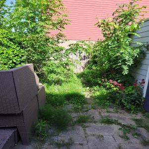 housePhoto