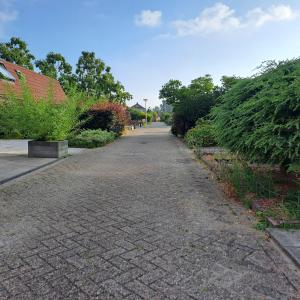 housePhoto