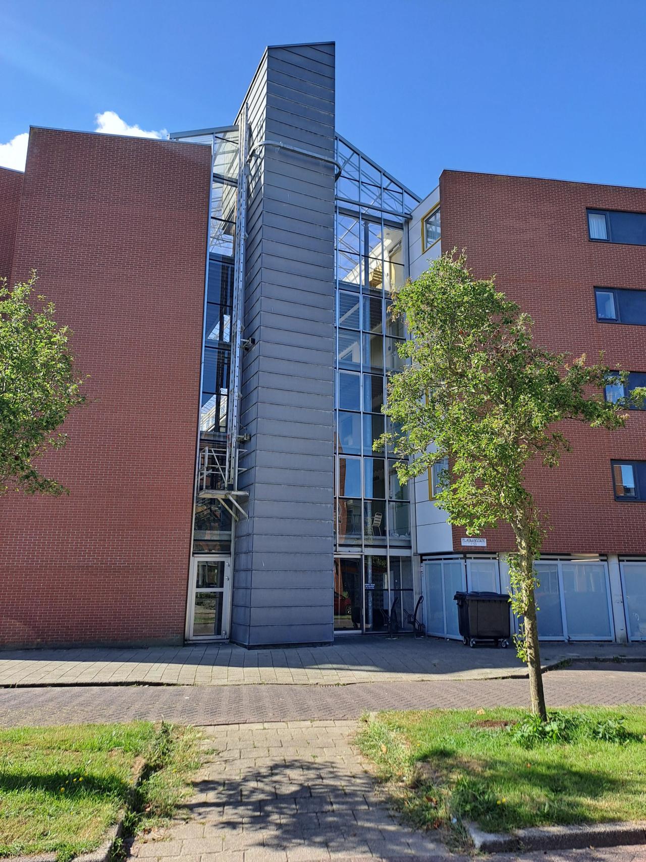 Plataanstate 30