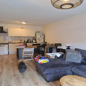 housePhoto