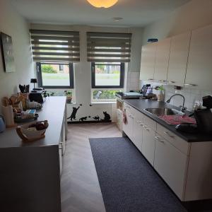 housePhoto
