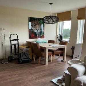 housePhoto