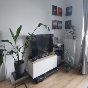 housePhoto