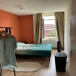 housePhoto