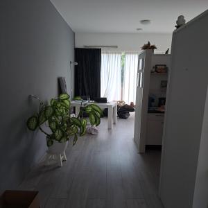 housePhoto