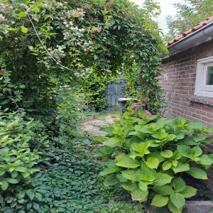 housePhoto