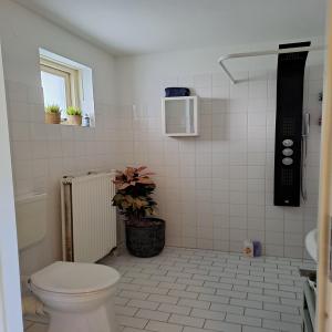 housePhoto
