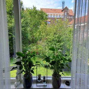 housePhoto