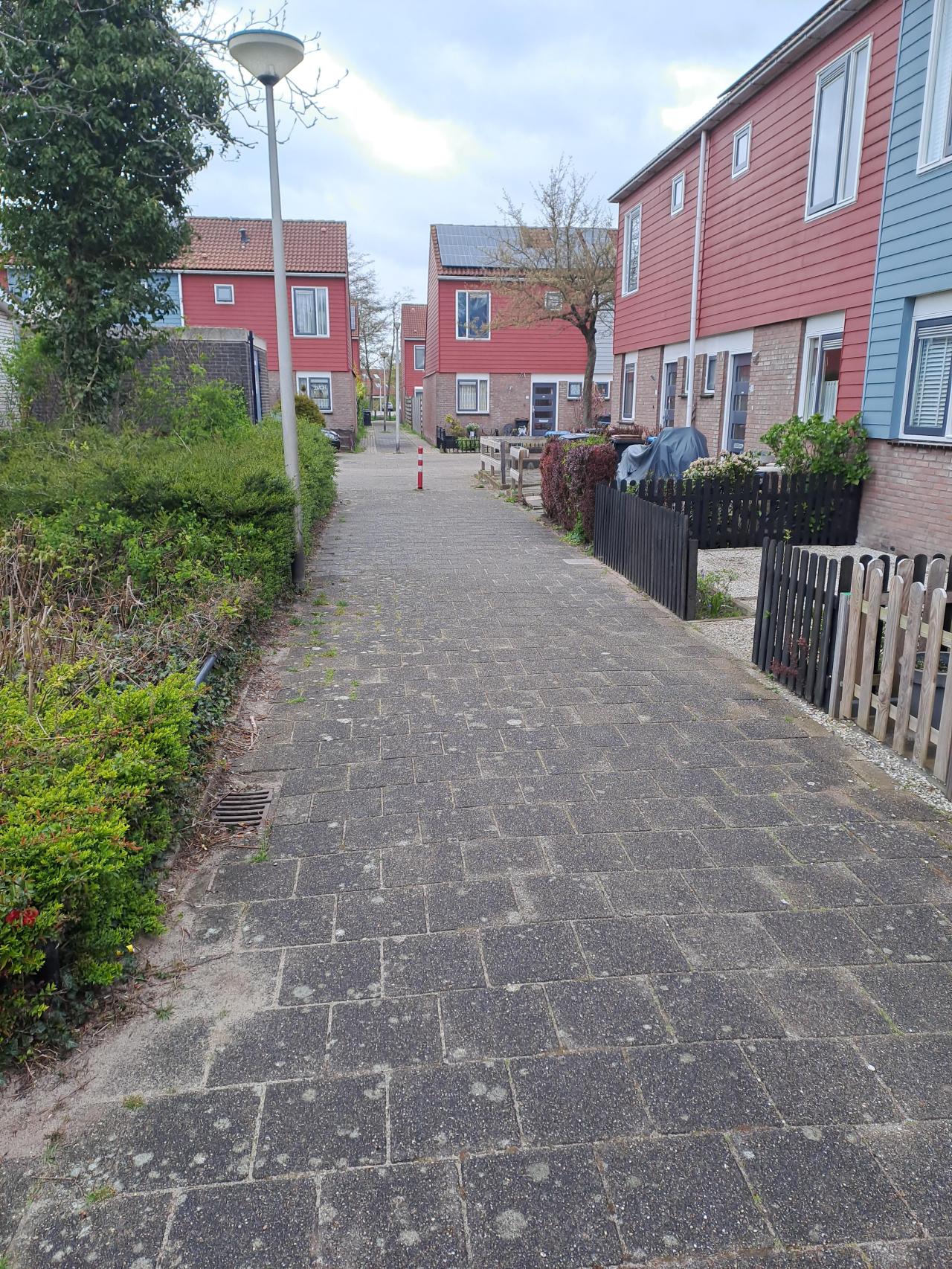 Schaardijk 12