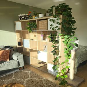 housePhoto