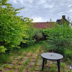 housePhoto