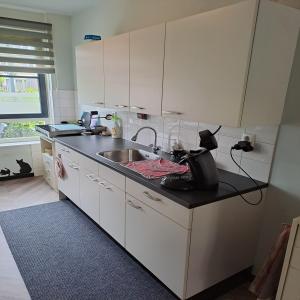 housePhoto