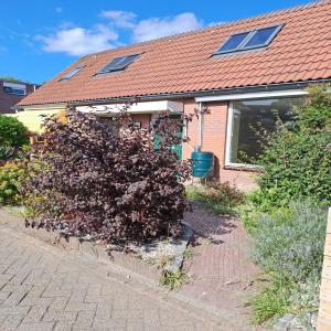 housePhoto
