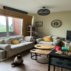 housePhoto