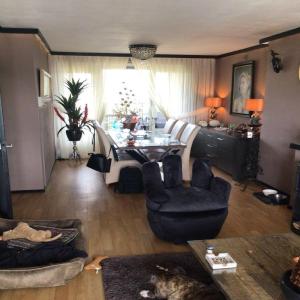 housePhoto