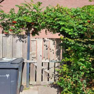 housePhoto