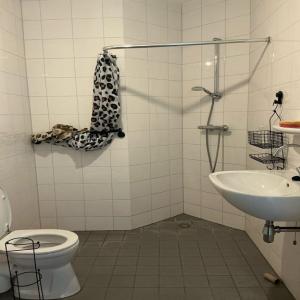housePhoto