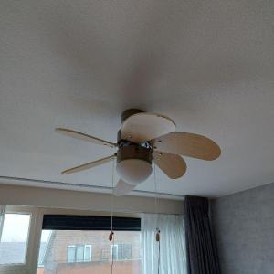 housePhoto