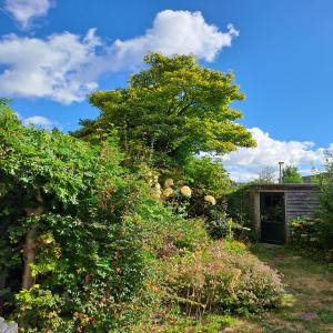 housePhoto