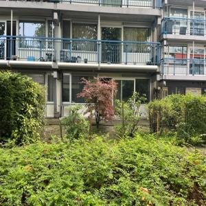 housePhoto
