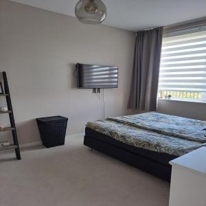 housePhoto