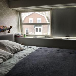 housePhoto