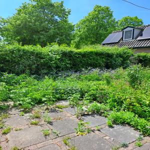 housePhoto