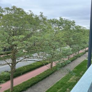 housePhoto