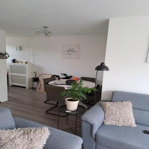 housePhoto