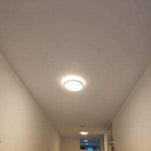 housePhoto