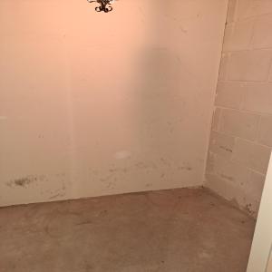 housePhoto