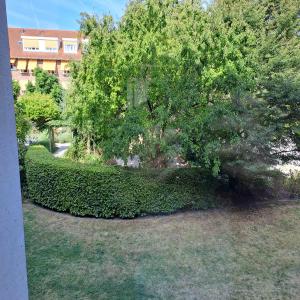 housePhoto