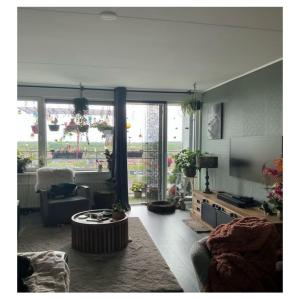 housePhoto