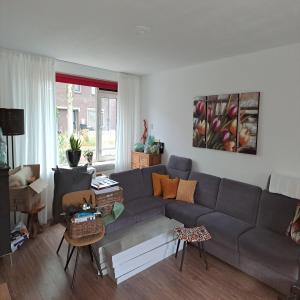 housePhoto