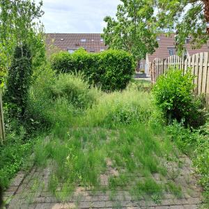 housePhoto