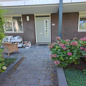 housePhoto