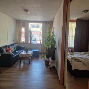 housePhoto