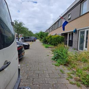 housePhoto