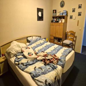 housePhoto