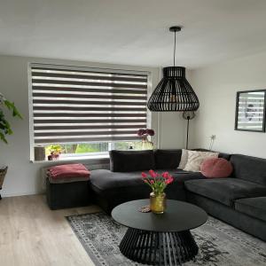 housePhoto