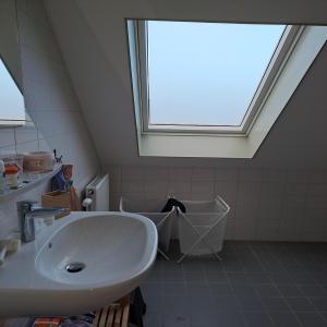 housePhoto