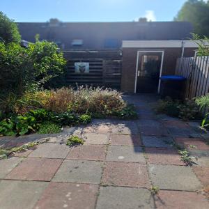 housePhoto